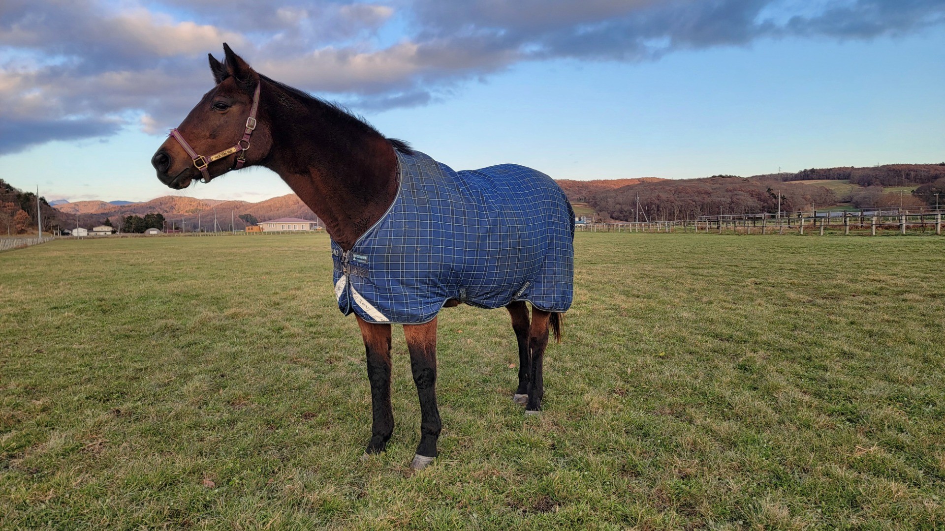 a7e9a138394eedc538493f55447d4854-1760934987.jpg a7e9a138394eedc538493f55447d4854-1760934987.jpg